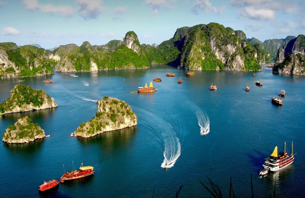 Vietnam Insight