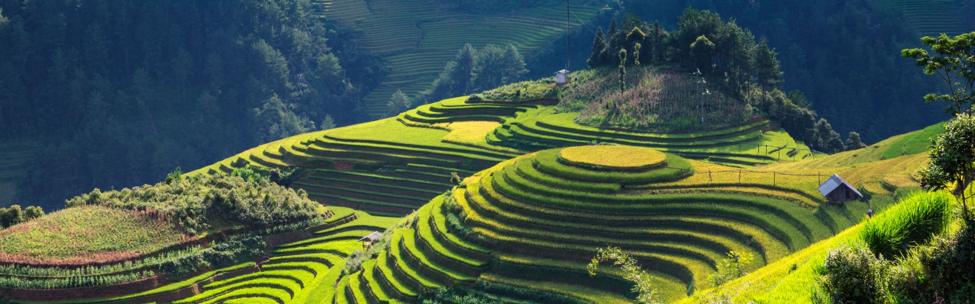 Philippines Tours
