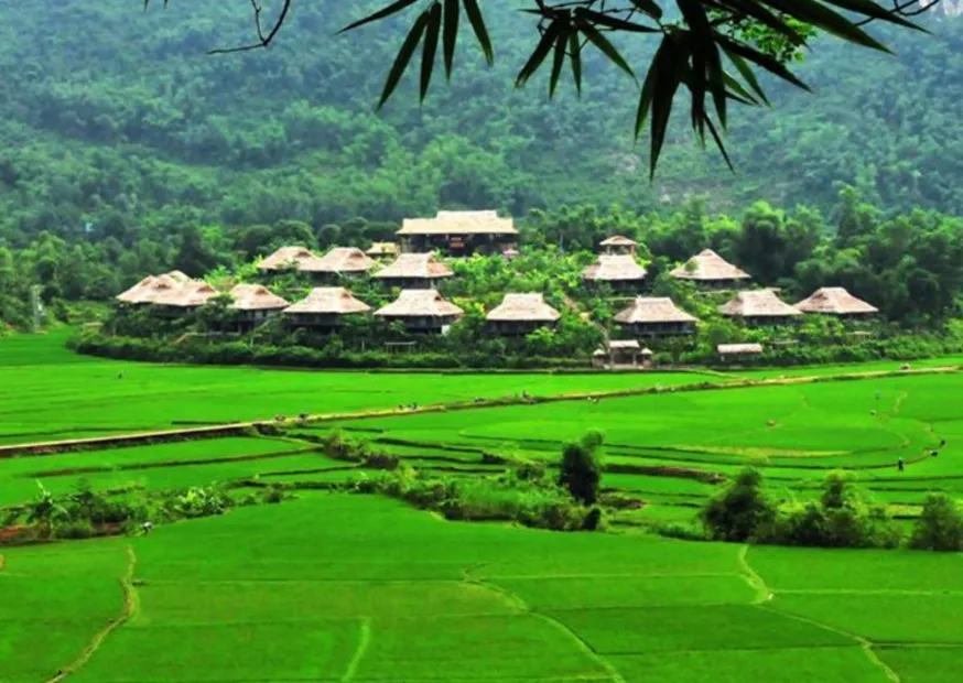 Beautiful rice field in Mai Chau