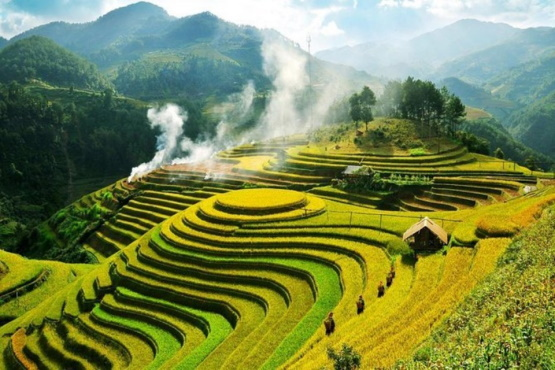 Vietnam Reunification Day 2025 — 50th Anniversary Celebration!