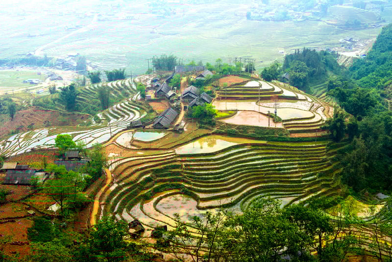 Hung King Festival in community life