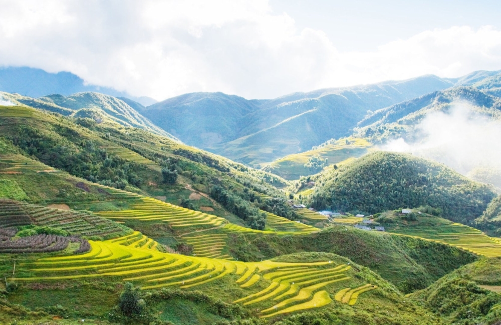 Amazing Vietnam Adventures