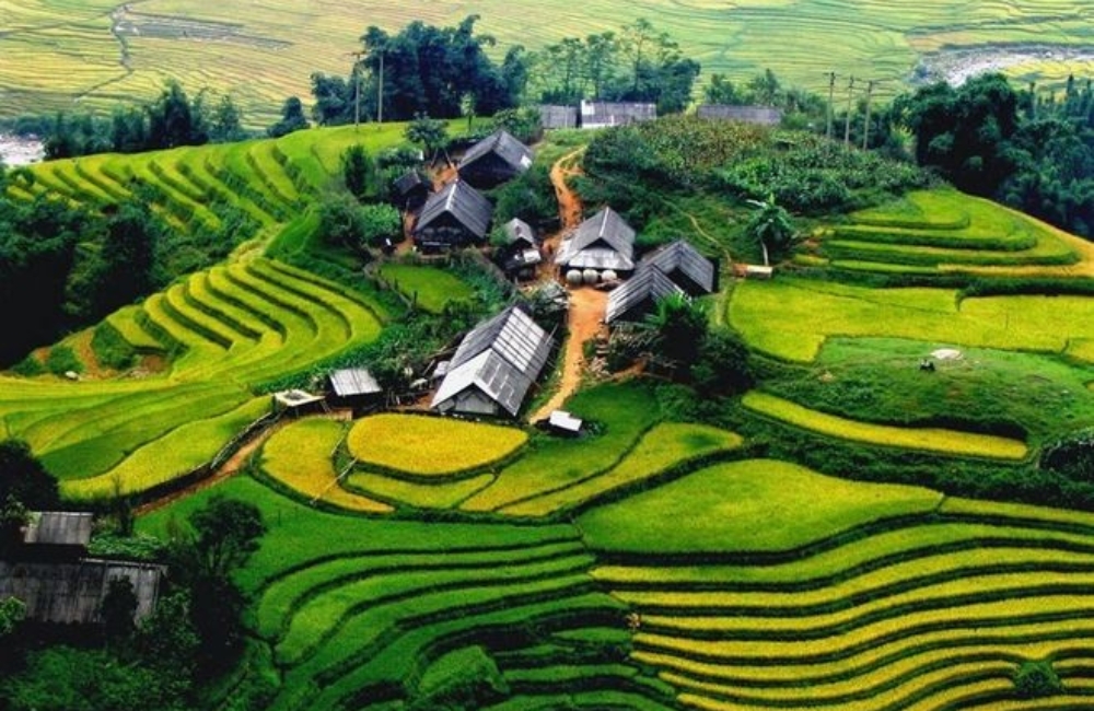 The Very Best Of Northeast