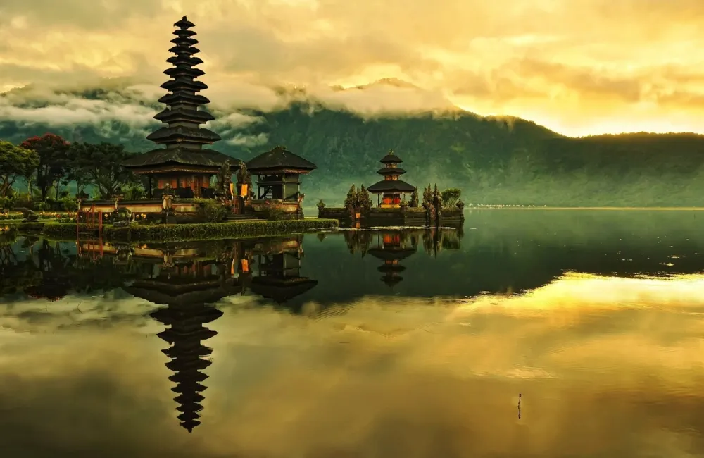 Bali Amazing Experience